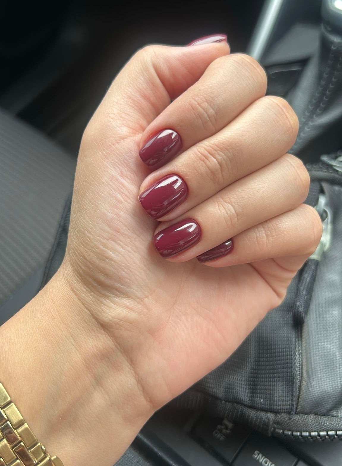 GEL POLISH | BER04 Burgandy