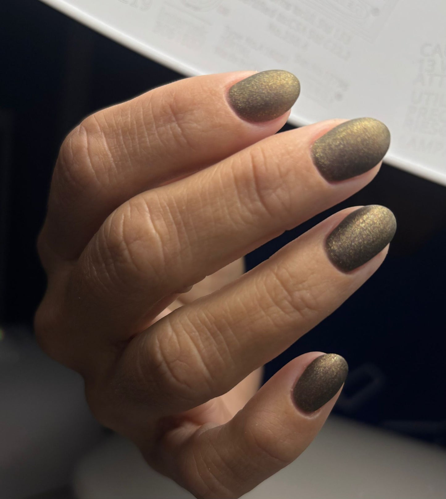 GEL POLISH | ZG134 Bronze Glitter