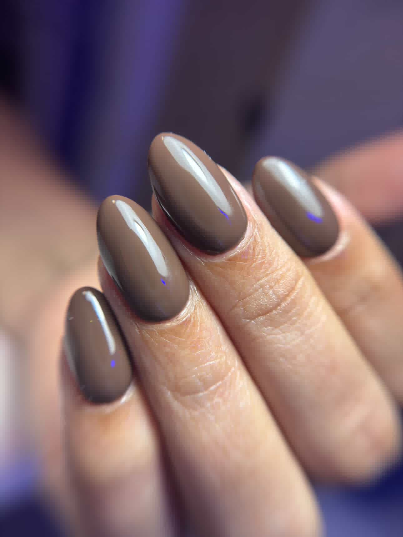 GEL POLISH | WS38 dark brown